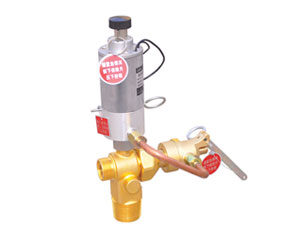 二氧化碳容器閥&mdash;ERF15/12.4