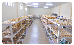 工廠(chǎng)環(huán)境